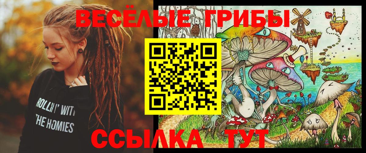 Галлюциногенные грибы Psilocybe Дедовск