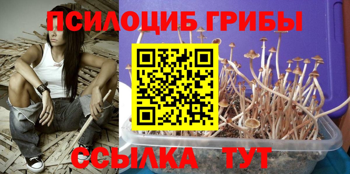 Псилоцибиновые грибы ЛСД  Вход с VPN  Дедовск  Галлюциногенные грибы мицелий 